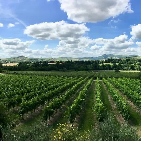 Bed and breakfast Mongardi, Papavero Per 2 Persone